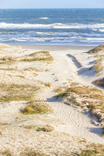 Παραλία Praia grande με βλάστηση πάνω από αμμοθίνες στην παραλία του Τόρες — Φωτογραφία Αρχείου