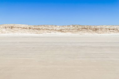 Dunes adlı Torres plaj üzerinde bitki örtüsü
