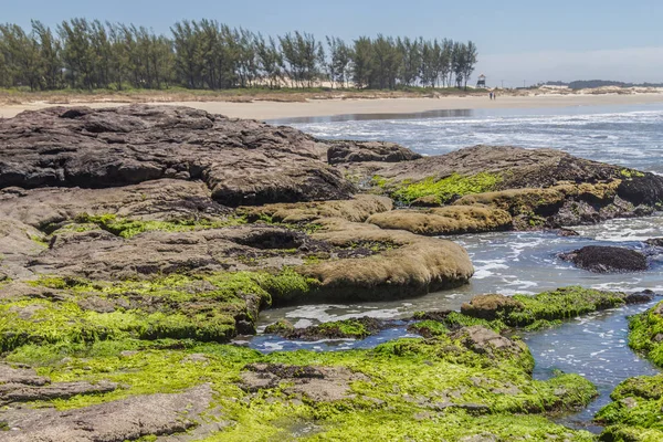 Rocce nella spiaggia di Guarita a Torres — Foto Stock