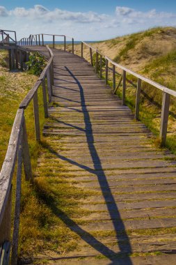 Ahşap köprü dunes, bitki örtüsü ve okyanus CA arka planda üzerinde
