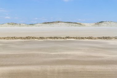 Islak Kuru üzerinde kum ve dunes Cassino Beach
