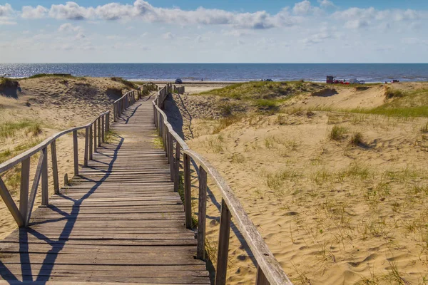 Ahşap köprü dunes, bitki örtüsü ve okyanus CA arka planda üzerinde — Stok fotoğraf