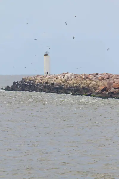 Farol em quebra-mar na praia de Cassino — Fotografia de Stock