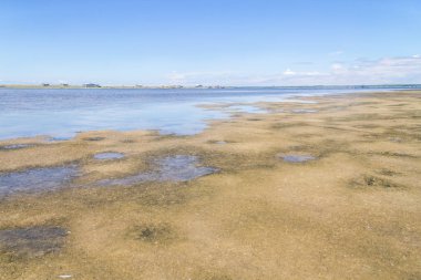 Lagoa evinde balıkçı mı Peixe