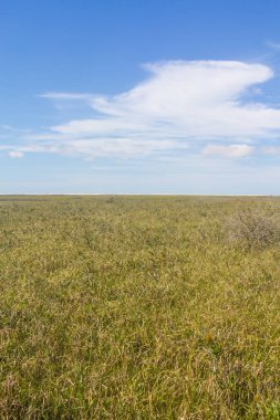Lagoa bataklıkta Peixe Gölü yapmak