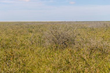 Lagoa bataklıkta Peixe Gölü yapmak