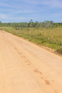 Yol ve Lagoa bataklıkta Peixe Gölü yapmak