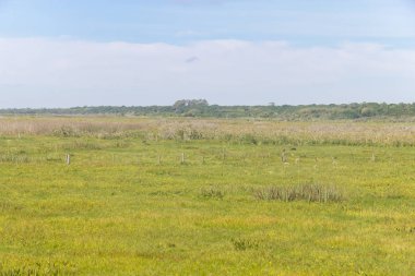 Lagoa bataklıkta Peixe Gölü yapmak