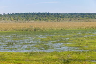 Lagoa bataklıkta Peixe Gölü yapmak