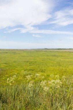 Lagoa bataklıkta Peixe Gölü yapmak