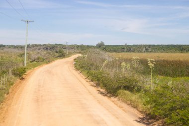 Yol ve Lagoa bataklıkta Peixe Gölü yapmak