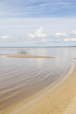 Lagoa Dos Patos Gölü ve bitki örtüsü