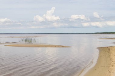 Lagoa Dos Patos Gölü ve bitki örtüsü