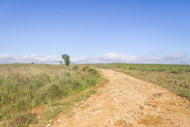 Fortaleza Canyon kirli yol