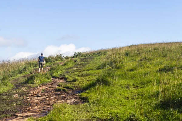 Trail at Fortaleza Canyon — Stock Photo, Image