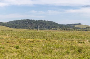 Itaimbezinho Canyon çiftlikte