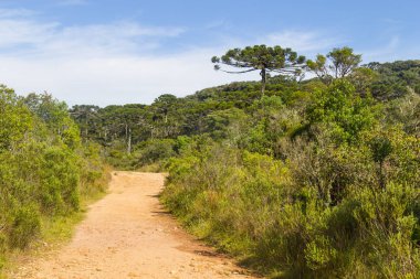 Itaimbezinho kanyonda iz