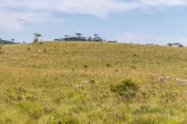 Itaimbezinho Canyon atlara