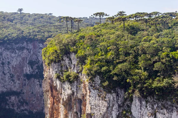 Itaimbezinho Canyon görünümü