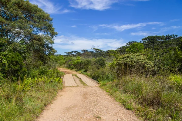 Itaimbezinho kanyonda iz