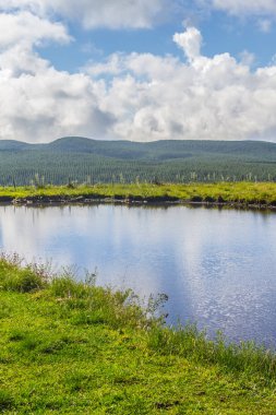 Göl yansıması ile orman arka planda