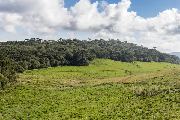 Çiftlik alanı ile orman