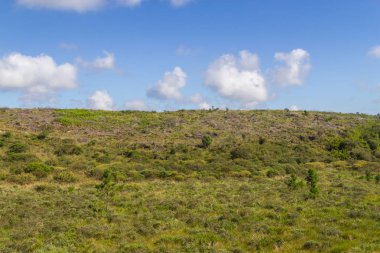 Çiftlik alanı ve mavi gökyüzü
