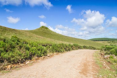 Çiftlik yolu ile bitkiler