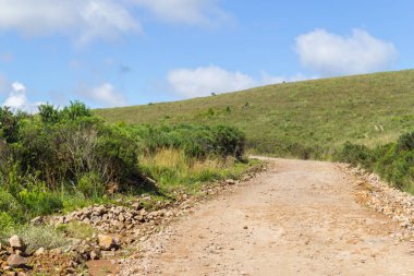 Çiftlik yolu ile bitkiler