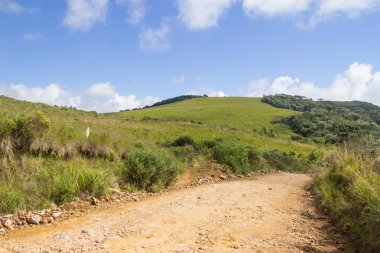 Çiftlik yolu ile bitkiler