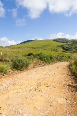 Çiftlik yolu ile bitkiler
