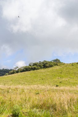 Kuş çiftlik alanı ve bulutlar üzerinde uçan