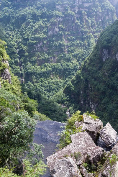 Cachoeira e floresta Canyon — Fotografia de Stock