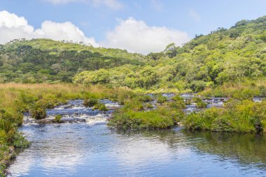 Kanyon nehir ve orman yansıma