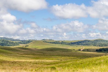 Farm road, alan ve hill