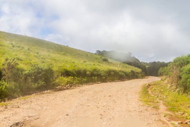 Farm road, alan ve hill