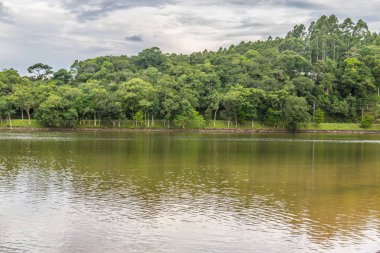 Tonina gölde Garibaldi ağaçlarda
