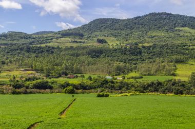Soya ekimi ve çiftlik