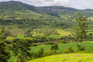 Soya ekimi ve çiftlik