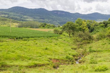 Saç ekimi ve akış