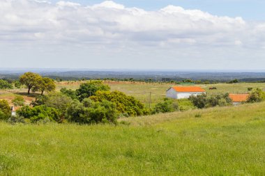 Santiago grupta mı Cacem