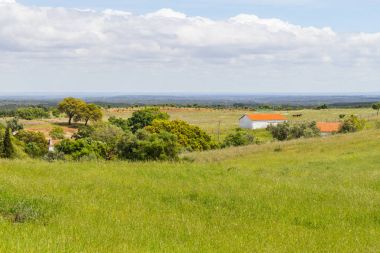 Santiago grupta mı Cacem