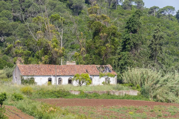 Ferme abandonnée et plantation à Santiago do Cacem — Photo