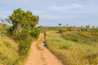 Vale Seco, Santiago do Cacem iz