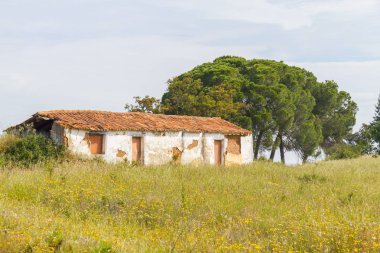 Çiftlik çiçek ve Vale Seco, Santiago d çam ağaçları ile