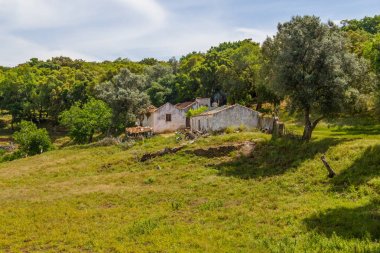 Çiftlik ve cork tree Santiago Cacem yapmak