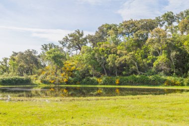 Orman ve göl Vale Seco, Santiago do Cacem