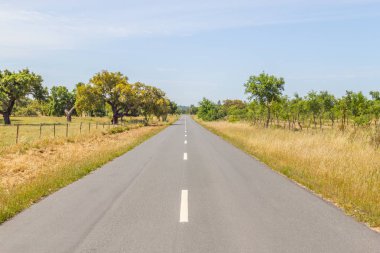 Vale Seco, Santiago do Cacem yolda