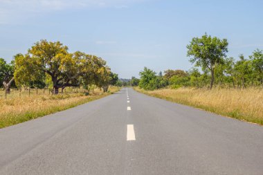 Vale Seco, Santiago do Cacem yolda
