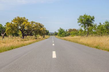 Vale Seco, Santiago do Cacem yolda